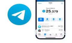 Tokenim支持的币种及其交易分析