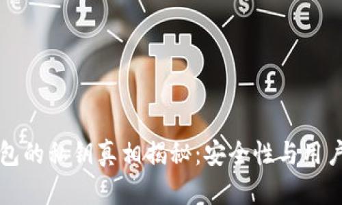 比特派钱包的私钥真相揭秘：安全性与用户体验分析