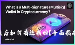 Tokenim被盗后如何有效找回？全面指南与解决方案