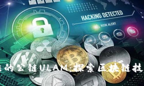 中国合法的公链ULAM：探索区块链技术的未来