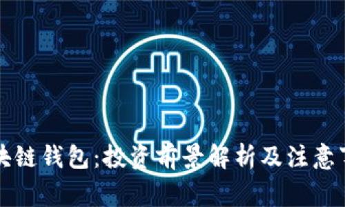 区块链钱包：投资前景解析及注意事项