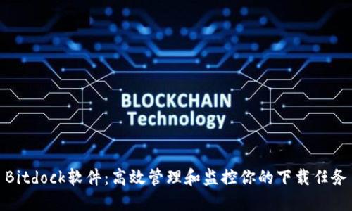 Bitdock软件：高效管理和监控你的下载任务