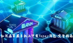 如何在苹果手机上下载Topay钱包：完整指南