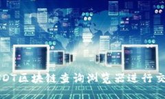 如何使用USDT区块链查询浏览器进行交易信息查询