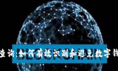 数字钱包风险查询：如何有效识别和避免数字钱