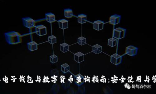 2023年电子钱包与数字货币查询指南：安全使用与管理技巧
