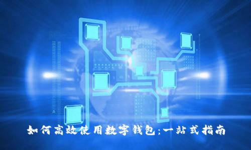 如何高效使用数字钱包：一站式指南