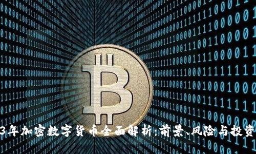 2023年加密数字货币全面解析：前景、风险与投资策略
