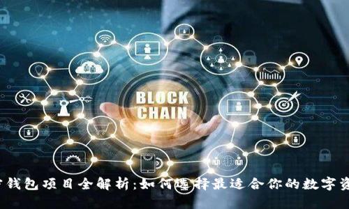2023年加密钱包项目全解析：如何选择最适合你的数字资产存储方案