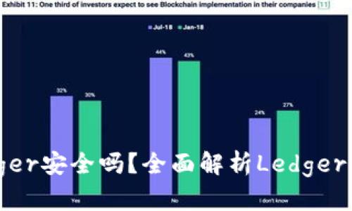 硬件钱包Ledger安全吗？全面解析Ledger钱包的安全性