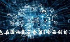 Ledger钱包在国内是否合法？全面剖析及使用指南