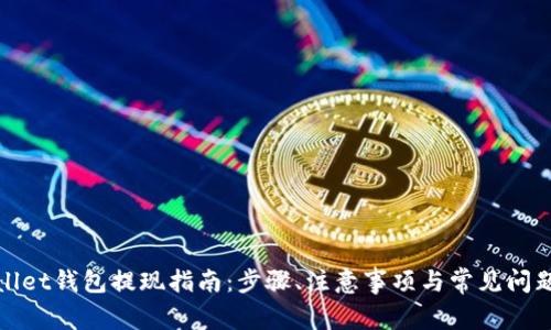 tpwallet钱包提现指南：步骤、注意事项与常见问题解析
