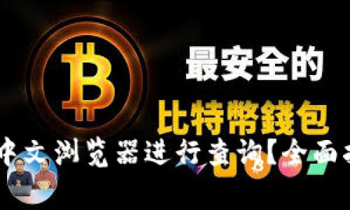 如何使用USDT区块中文浏览器进行查询？全面指南与常见问题解答