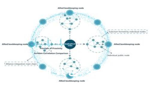 如何查看数字货币钱包：全面指南与实用技巧