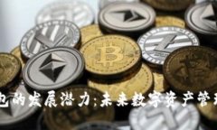 区块链钱包的发展潜力：未来数字资产管理的新