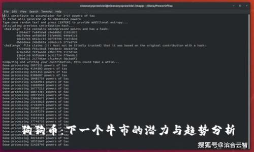 狗狗币：下一个牛市的潜力与趋势分析