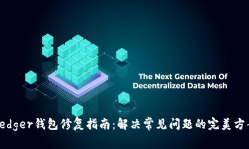 Ledger钱包修复指南：解决常见问题的完美方案