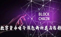 揭秘数字货币电子钱包的种类与选择指南