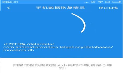 最全指南：数字钱包国际版APP的使用与优势
