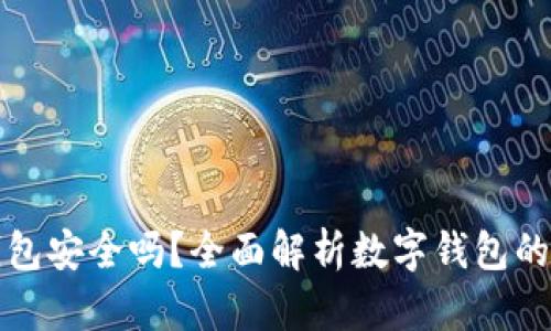 区块链数字钱包安全吗？全面解析数字钱包的安全性与风险