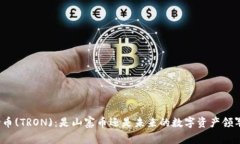 波场币(TRON)：是山寨币还是未来的数字资产领军