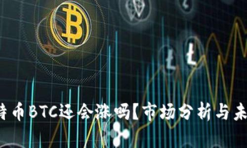 2023年比特币BTC还会涨吗？市场分析与未来走势展望