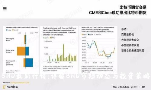 BHD最新行情：详解BHD市场动态与投资策略
