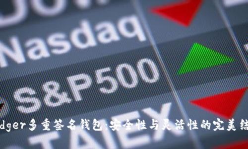 Ledger多重签名钱包：安全性与灵活性的完美结合