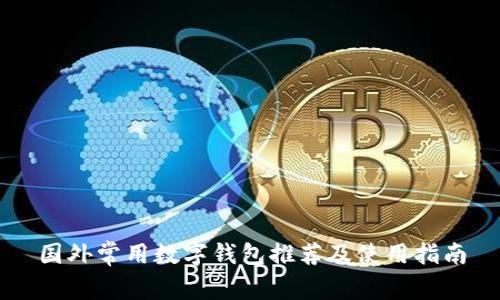 国外常用数字钱包推荐及使用指南