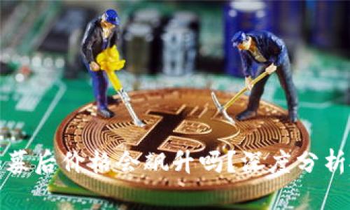 虚拟币私募后价格会飙升吗？深度分析投资机会
