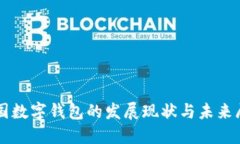 中国数字钱包的发展现状与未来展望