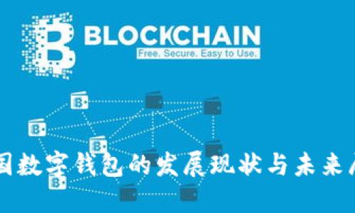 中国数字钱包的发展现状与未来展望