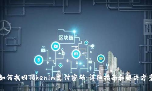 如何找回Tokenim支付密码：详细指南和解决方案