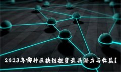 2023年哪种区块链投资最具潜力与收益？