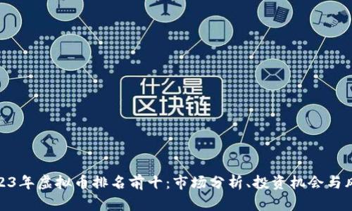 2023年虚拟币排名前十：市场分析、投资机会与风险