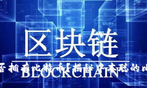 中本聪是否拥有比特币？揭秘中本聪的比特币之谜