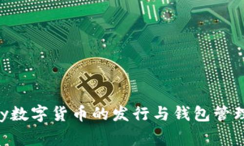 igidbody数字货币的发行与钱包管理全解析