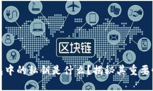 区块链钱包中的私钥是什么？揭秘其重要性与安全性