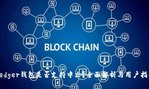 Ledger钱包是否支持中文？全面解析与用户指南