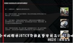 今日比特币（BTC）价格走势分析及USDT影响