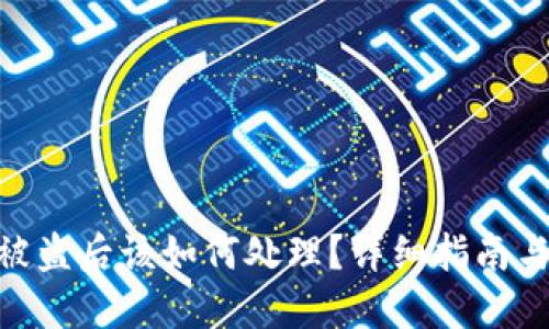 TokenIM被盗后该如何处理？详细指南与应对策略