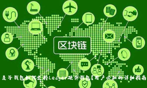 麦子钱包如何支持Ledger硬件钱包？用户必知的详细指南