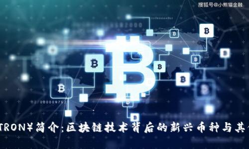 波场币（TRON）简介：区块链技术背后的新兴币种与其价值解析