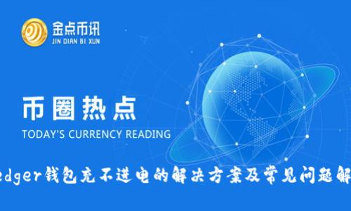 Ledger钱包充不进电的解决方案及常见问题解析