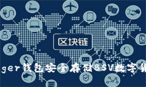 如何使用Ledger钱包安全存储BSV数字货币：全面指南