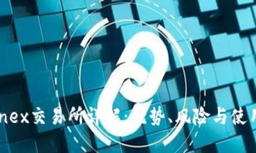 Bitfinex交易所详解：优势、风险与使用指南
