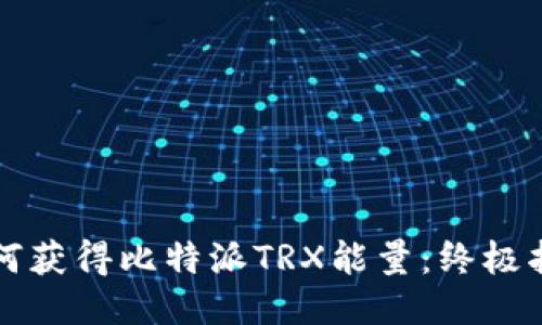 如何获得比特派TRX能量：终极指南
