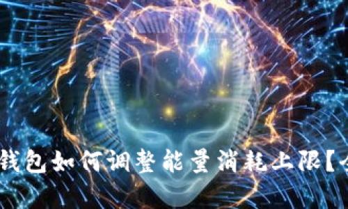 Ledger钱包如何调整能量消耗上限？全面指南