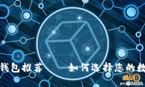 最安全便捷的冷钱包推荐——如何选择您的数字资产保护方案