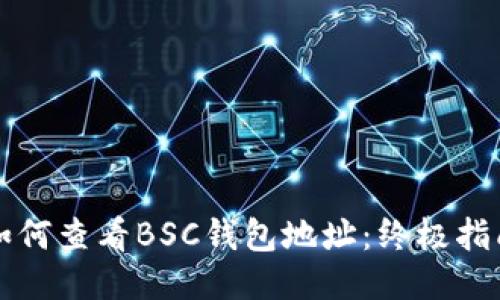 如何查看BSC钱包地址:终极指南